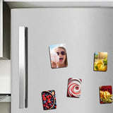 Fridge Magnets